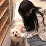 欢乐赛车大战手机版下载